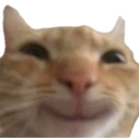 Wiliams