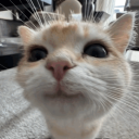 Wiliams